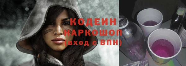 хмурый Алзамай